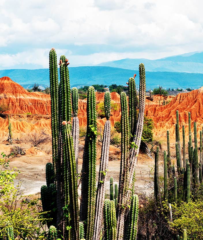 Desierto de la Tatacoa: belleza árida en Colombia