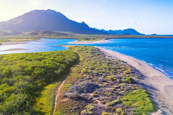 Hermosillo a tus pies, no dejes ningún sitio sin recorrer abordo de tu auto rentado en Localiza