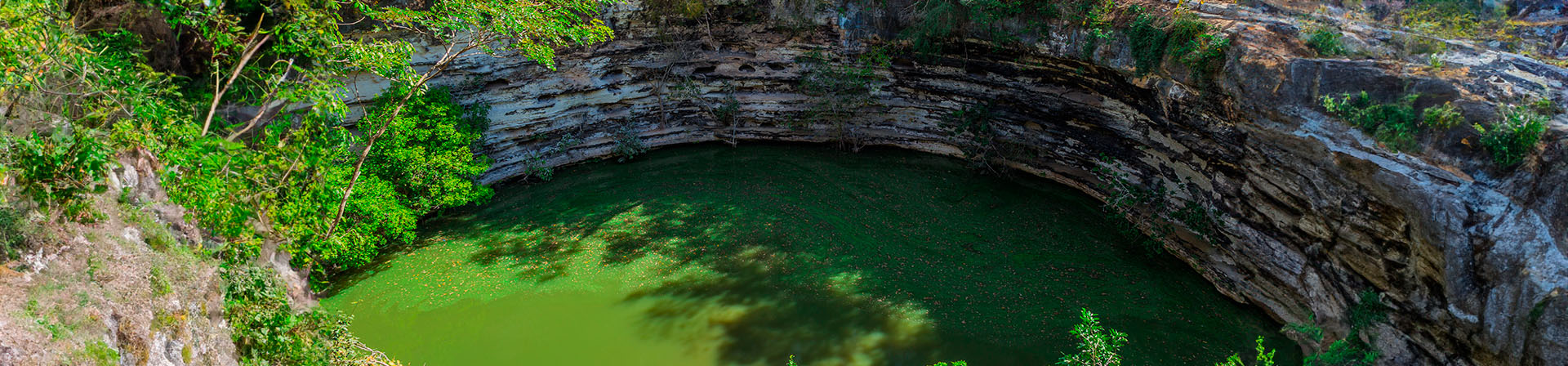 Explora los Fascinantes Cenotes de Yucatán y Quintana Roo: Belleza Natural en Cada Rincón