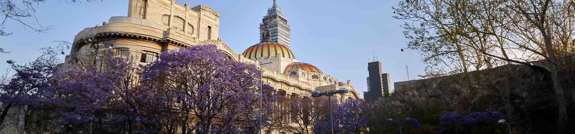 Qué Hacer en CDMX: Experiencias Inolvidables en Ciudad de México