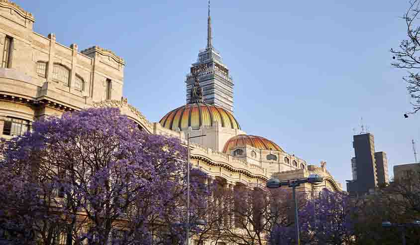 Experiencias Inolvidables en Ciudad de México