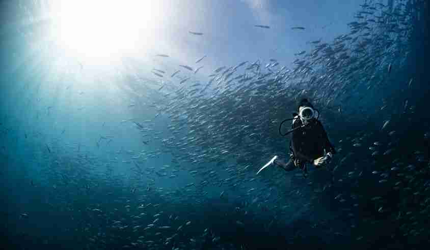 Cabo Pulmo: Un Paraíso Natural