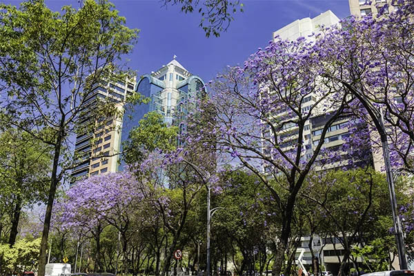Renta autos en la ciudad de México de forma fácil, rápida y sin complicaciones en Localiza Aeropuerto Terminal 1.