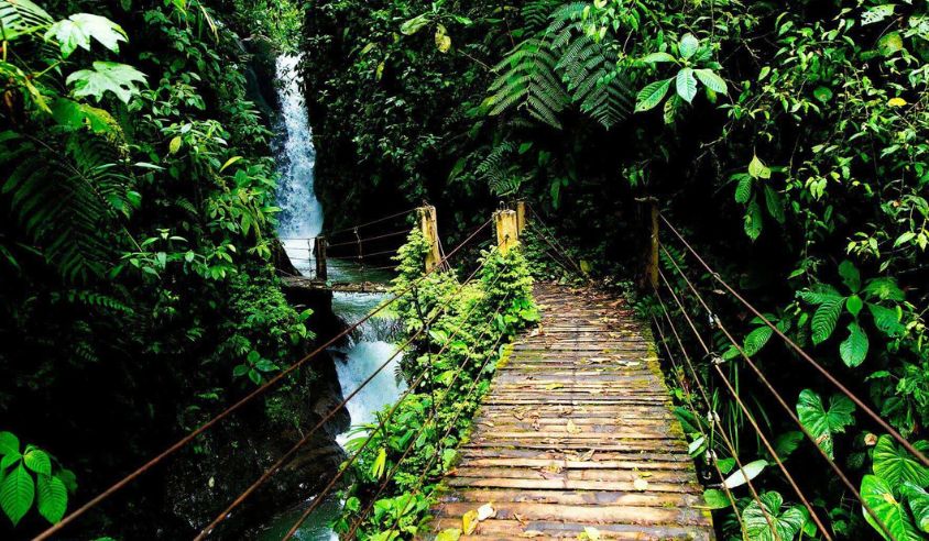 Mindo: Naturaleza, Aventura y Libertad al Volante