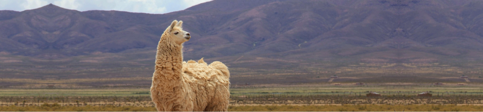 5 Rutas Escénicas para Recorrer en Auto por el Norte Argentino