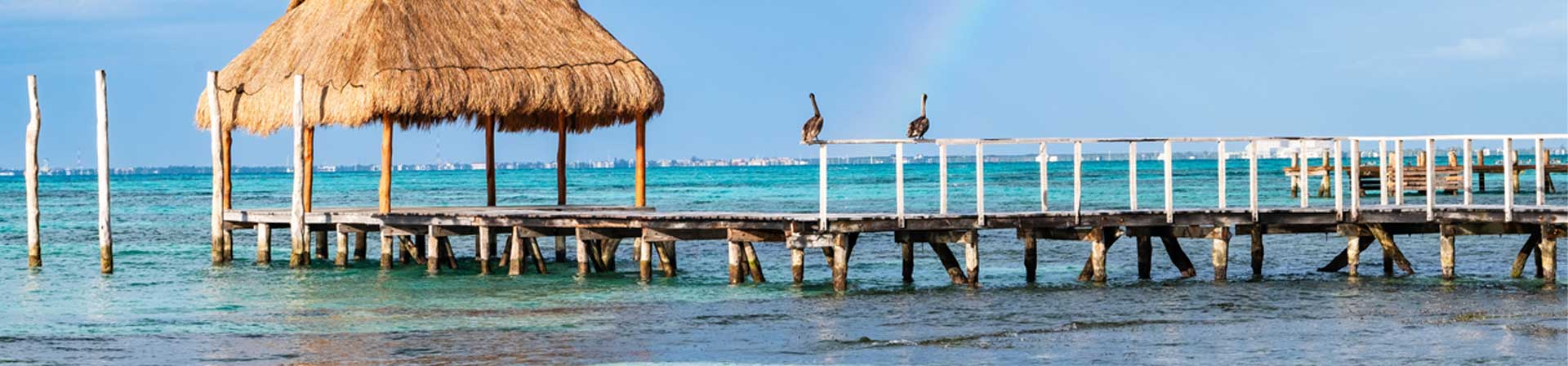 Actividades eco friendly que puedes hacer en Holbox 