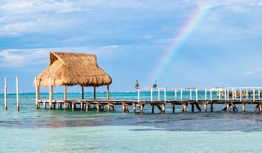 Actividades eco friendly en Holbox 