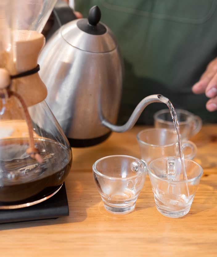 Ruta del Café Mexicano: Enamórate de Chiapas 