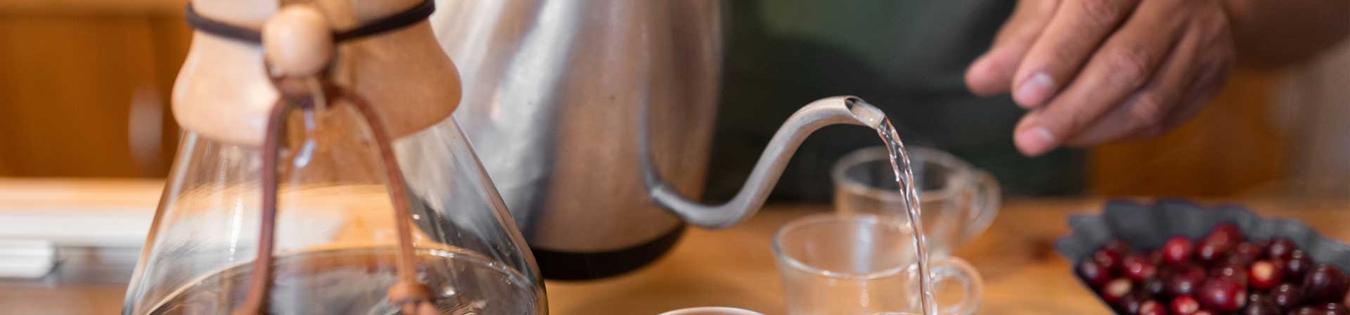 Ruta del Café Mexicano: Enamórate de Chiapas