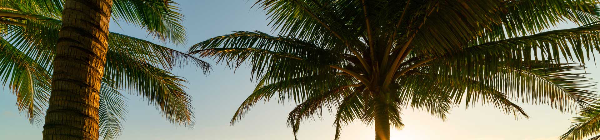 Playas tranquilas en Sonora