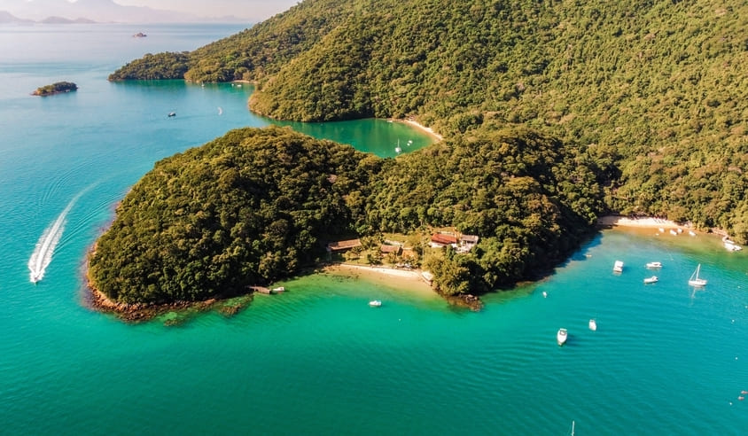 A realeza do ecossistema brasileiro, Angra dos Reis