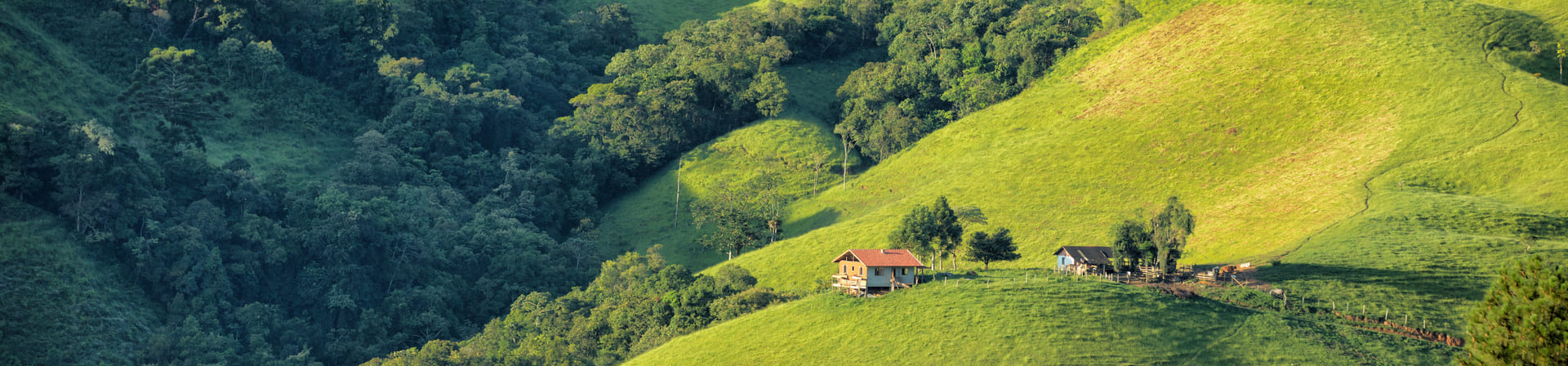 O que fazer em Visconde de Mauá? Explore a região!