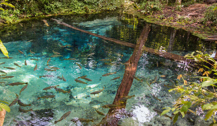 Belezas ocultas no Mato Grosso: visite Nobres-MT