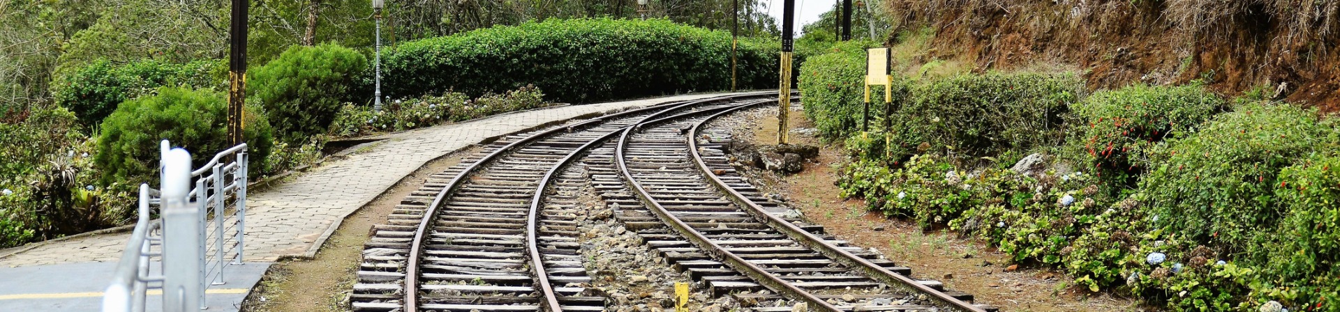 O que Fazer em Santo Antônio do Pinhal: Roteiro e Dicas