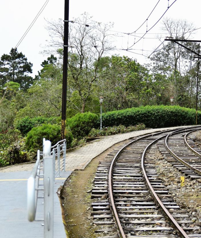 O que Fazer em Santo Antônio do Pinhal: Roteiro e Dicas
