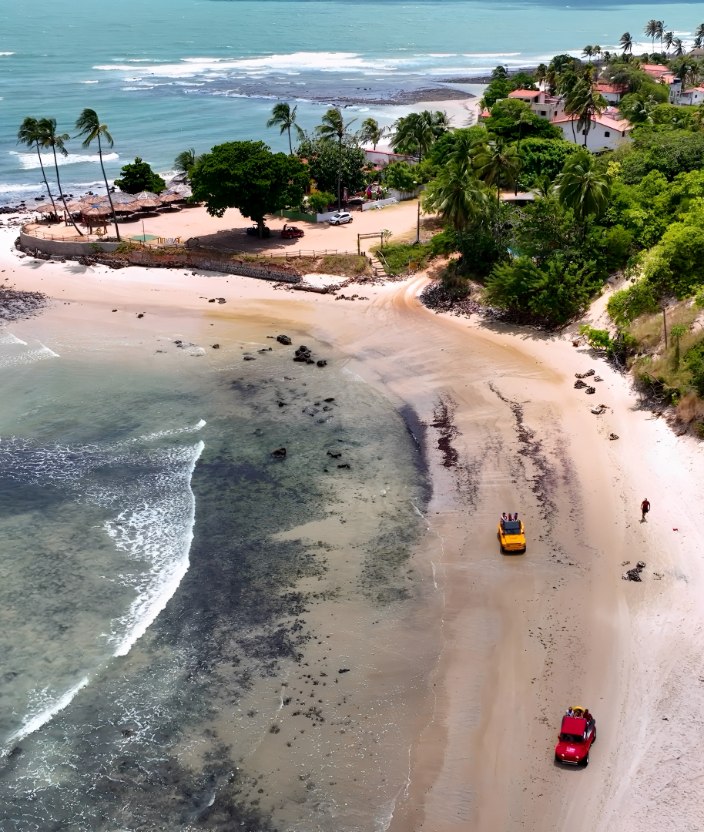 Pipa (RN): praias, passeios e dicas para aproveitar o destino