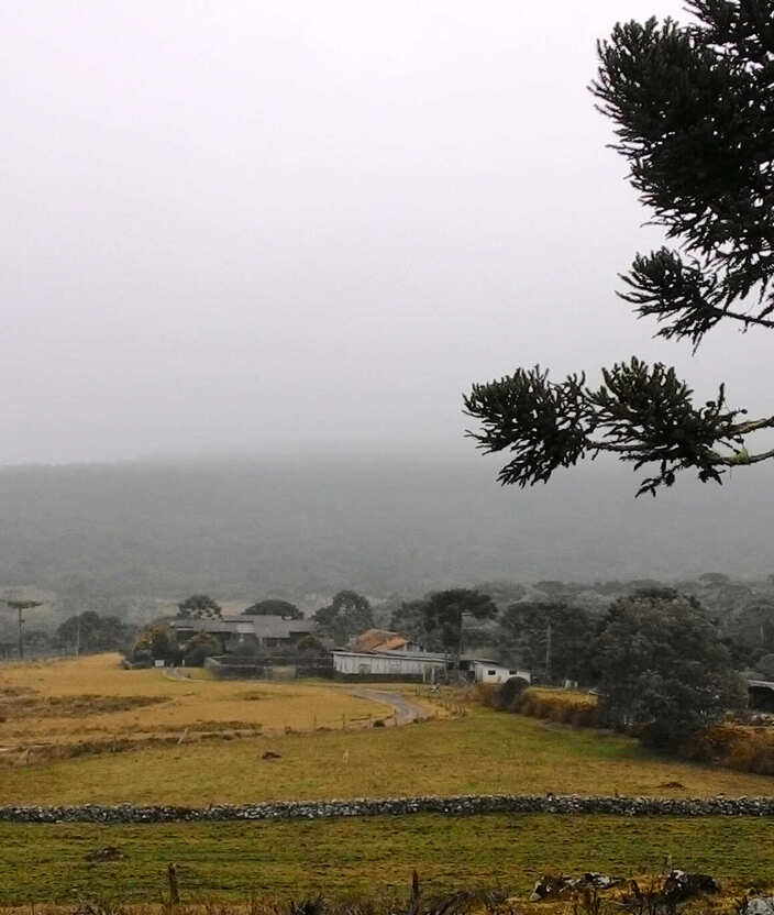 Cidades mais frias do Brasil: 10 destinos para curtir o inverno