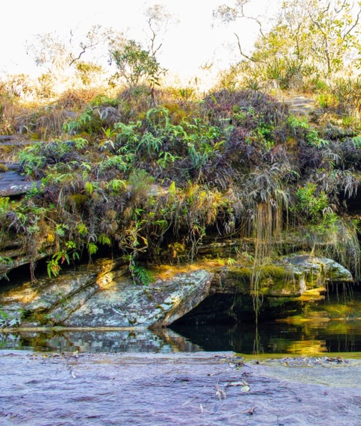 Parque Estadual de Ibitipoca: tudo o que você precisa saber antes da visita